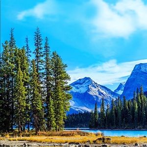 Meet your Posher, Caleb